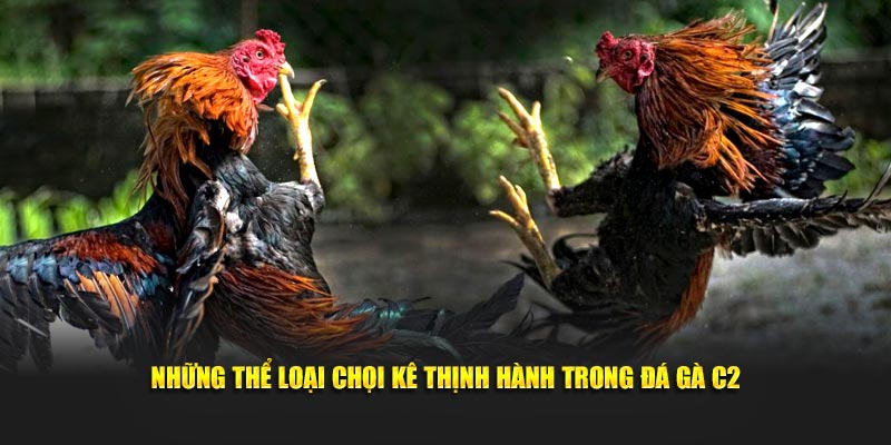 Những thể loại chọi kê thịnh hành trong  đá gà C2